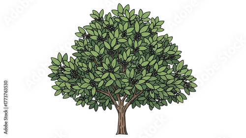 A beautifully illustrated tree with lush green leaves and dark berries