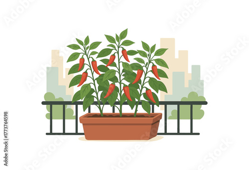 balcony chili pepper plants thriving container garden city lifestyle flat vector illustration style isolated on white background