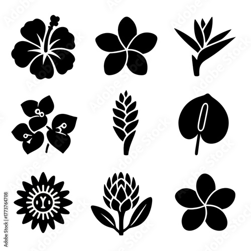 Tropical flowers silhouette icon set. featuring hibiscus, frangipani, bird of paradise, bougainvillea, and anthurium
