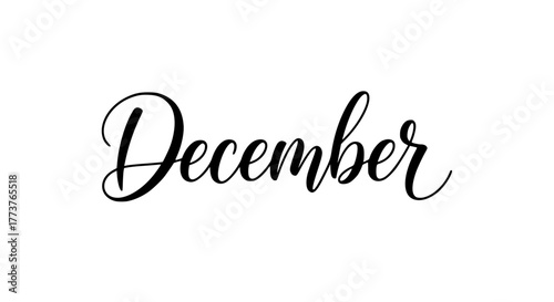Vector typography of the word “December” in elegant cursive script, isolated on white background
