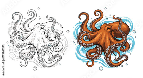 An intricate black and white line drawing of an octopus is shown next to a vibrant full color illustration of the same cephalopod swimming in swirling blue water with bubbles.