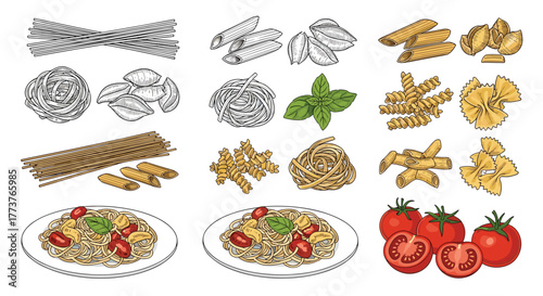 A diverse collection of uncooked and cooked pasta varieties alongside fresh tomatoes and basil leaves.