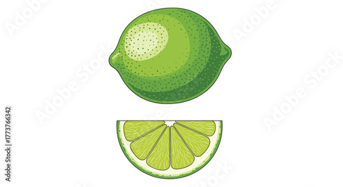 Fresh green lime fruit whole and sliced in half on a white background with a realistic textured illustration.