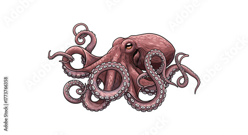 An intricate illustration of a red octopus with its many tentacles gracefully unfurling across a white background.