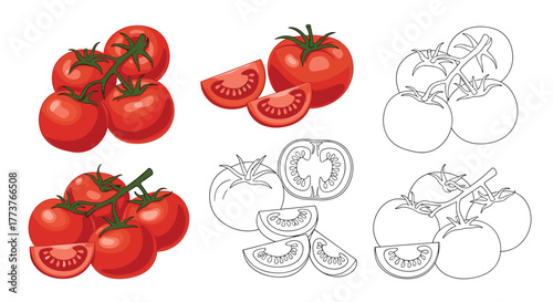 A collection of ripe red tomatoes and their detailed outlines showcasing fresh produce.