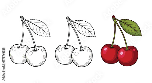 A visual guide to drawing realistic cherries step by step.