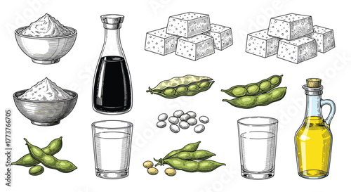 A visual collection of diverse soy products and ingredients showcasing their versatility in culinary applications.