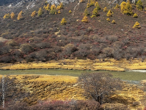 Yading Nature Reserve