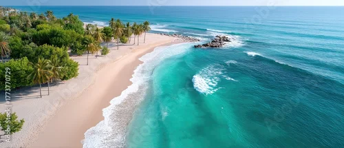 Panel kuchenny z motywem Aerial view of a tropical beach with white sand turquoise ocean water and lush green palm trees under a clear blue sky