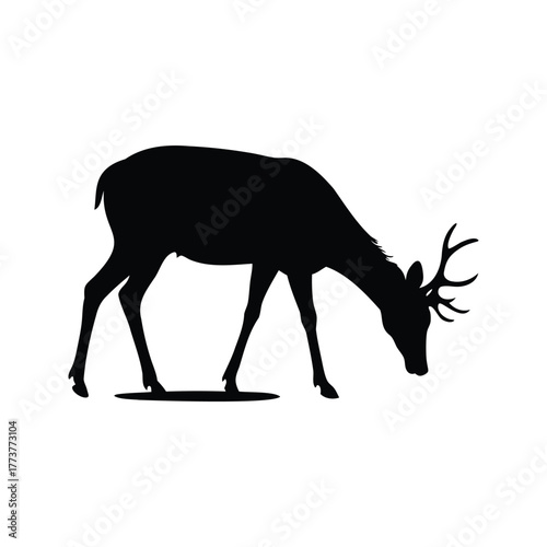 Silhouette of a deer grazing quietly in the wilderness, foraging for sustenance, deer drinking water silhouette vector illustration