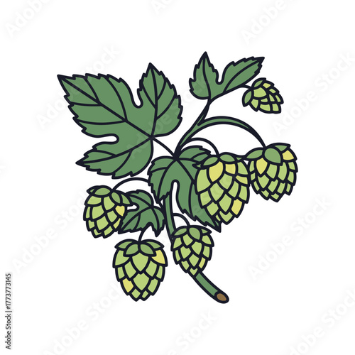 A stylized illustration of a green hop plant branch with developing cones and broad leaves, depicted against a white background.