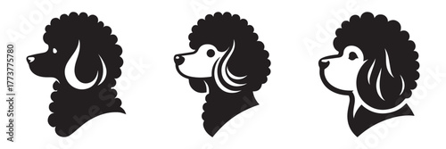 Elegant Poodle Silhouettes: A Trio of Graceful Canine Portraits.