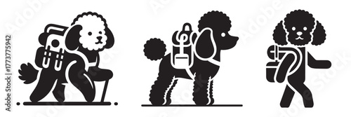 Hiking Poodles: A Trio of Adventurous Canine Companions.
