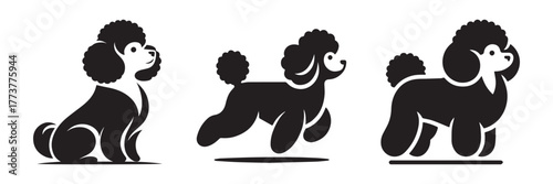 Elegant Poodle Silhouettes: A Trio of Graceful Poodle Poses.