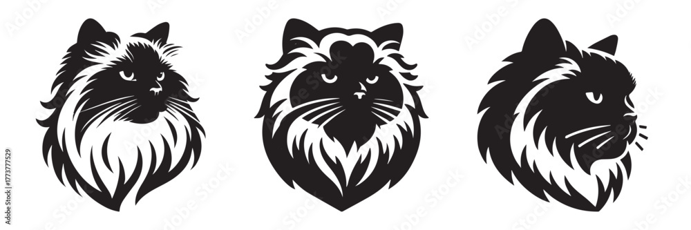 Obraz premium Black Cat Silhouette Art: Elegant Feline Portraits.