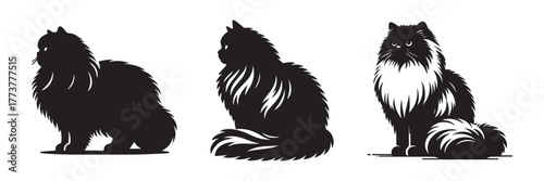 Three Persian Cats Silhouettes on White Background.