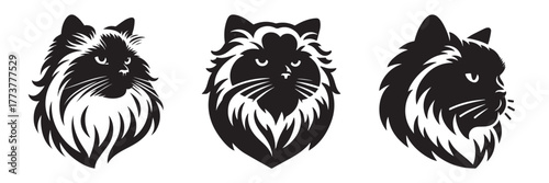 Black Cat Silhouette Art: Elegant Feline Portraits.