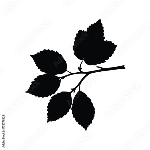 Silhouette of a branch with leaves against a clean white background, hazel branch silhouette vector illustration