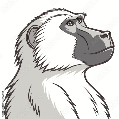 Stylized illustration of a white baboon head and shoulders looking upwards with a thoughtful expression