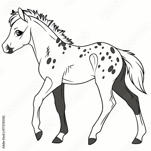 Cute cartoon appaloosa foal with spotted coat walking gracefully on a white background line art illustration