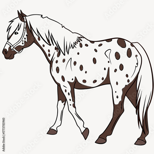 A stylized drawing of a brown and white spotted appaloosa horse wearing a halter and walking gracefully
