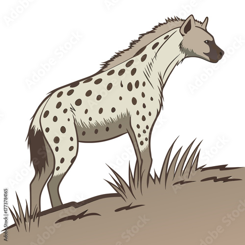 Illustration of a spotted hyena standing on a grassy hill in profile view with a white background