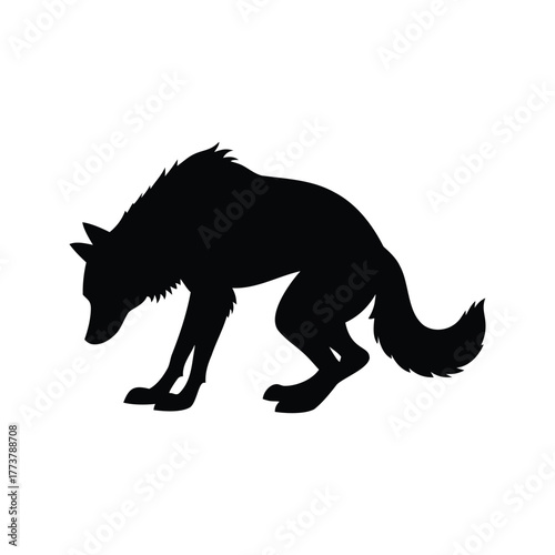 Silhouette of a wolf intently tracking something, looking for prey, wolf scratching silhouette vector illustration