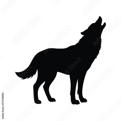 Black silhouette of a howling wolf standing isolated on white background, wolf sniffing silhouette vector illustration