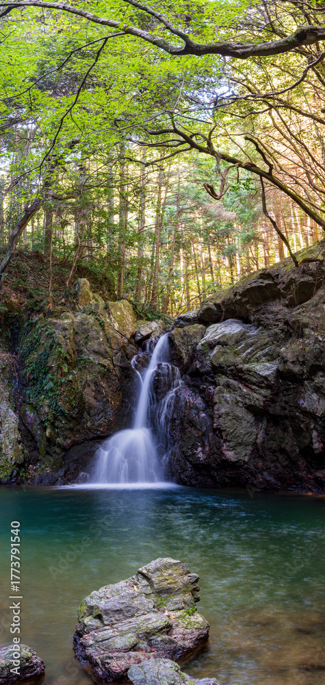 Naklejka premium 静岡県浜松市 秋の仙厳の滝 パノラマ 