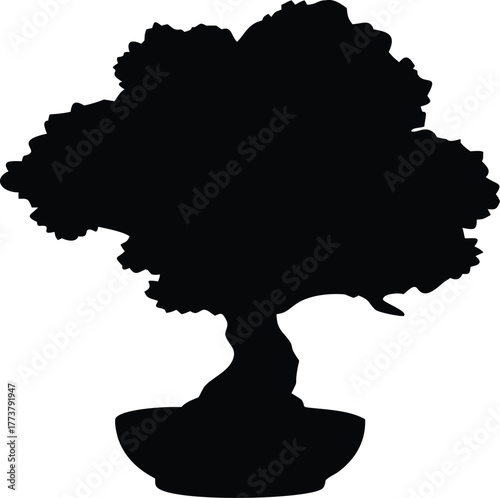 Bonsai tree flat vector icon minimal silhouette white background.