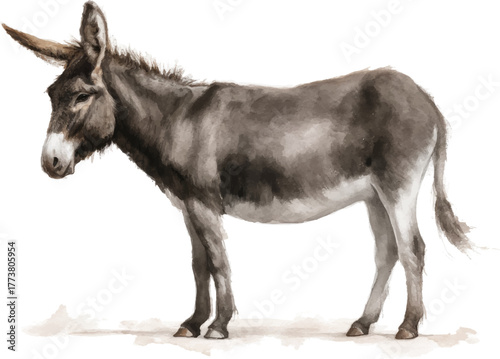 portrait of a donkey