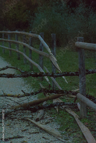 A wooden split-rail fence with broken and moss-covered sections borders a gravel path next to a grassy area and dark trees in the evening