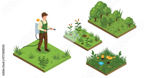 Gardener watering plants in isometric garden with various vegetation plots