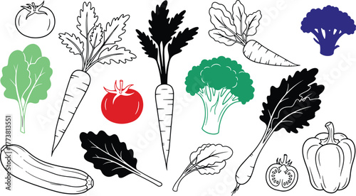 Collection of stylized vegetables in various colors and black outline