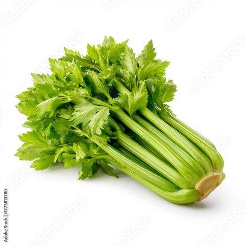 Fresh celery stalks, a healthy vegetable, in the studio. Celery is often eaten raw or used as an ingredient in soups, stews, and salads
