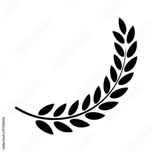 Ear of Wheat Barley or Rye vector visual graphic icons