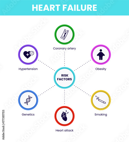 Heart Failure Risk Factors Infographic