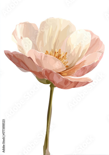 hand holding pink flower