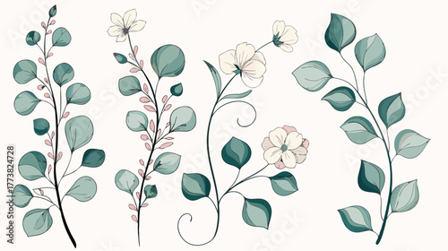 Romantic Botanical Illustration Set: Delicate Floral Elements on White