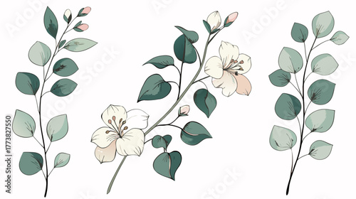 Elegant Romantic Floral Elements with Eucalyptus and Chamomile Branches, Isolated Vector Illustration
