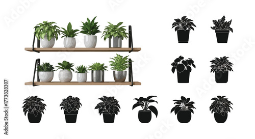 Collection of potted indoor plants displayed on wooden shelving units