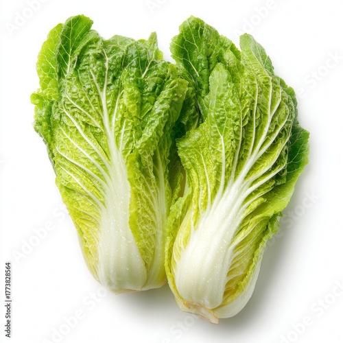 Fresh and healthy Napa cabbages isolated against a plain background, perfect for culinary and food-related projects. The vibrant green and fresh leaves offer a visual feast