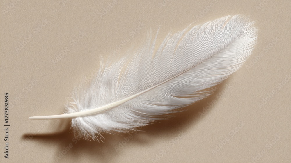 Obraz premium Soft white feather on surface
