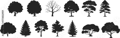 Flat vector silhouette set of various tree shapes, conifer and deciduous styles, forest elements, botanical icons, black nature design illustration