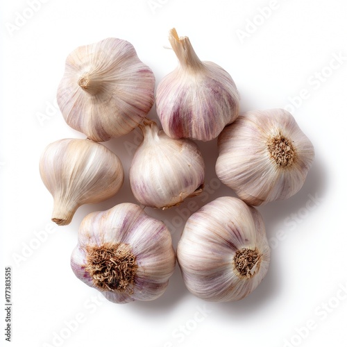 Fresh garlic bulbs in a natural arrangement. The garlic bulbs look fresh and ready for culinary use. 