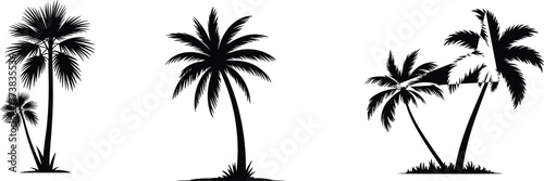 Flat vector silhouette illustration of tropical palm trees with curved trunks, fan-shaped fronds, coastal landscape, exotic nature, summer vibe