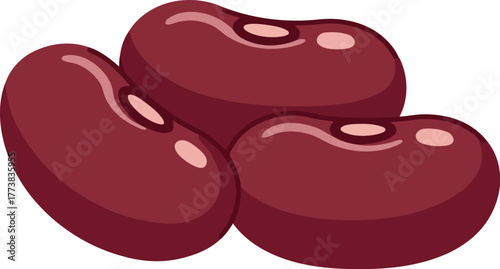 Healthy red kidney beans food ingredient organic plant based protein source vector