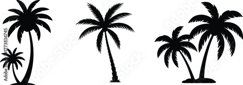 Flat vector silhouette of tropical palm trees, isolated black icons, exotic beach flora, summer vacation design elements, nature illustration set
