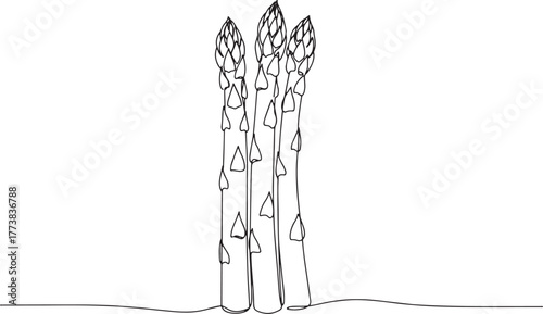 Continuous line drawing illustration of fresh asparagus stalks s