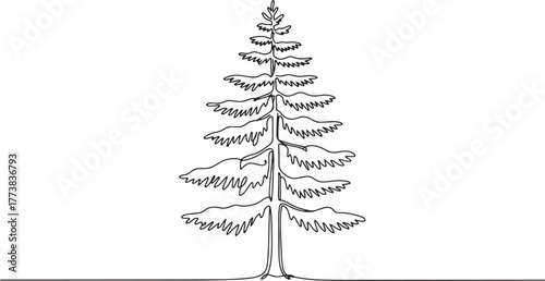 Continuous Line Drawing of a Noble Fir Tree on White Background,